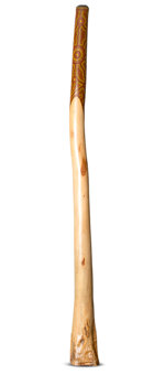 Jesse Lethbridge Didgeridoo (JL129)